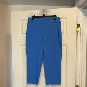 JM Collection Blue Capri Length Pants Size Medium